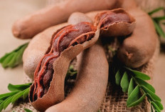 Ini Manfaat Asam Jawa untuk Kesehatan, Bumbu Dapur dengan Kandungan Nutrisi yang Melimpah