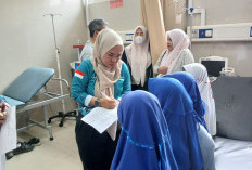 7 Murid SDN 59 Kota Bengkulu Dilarikan ke RSHD Usai Santap MBG, Alami Gejala Muntah hingga Pusing