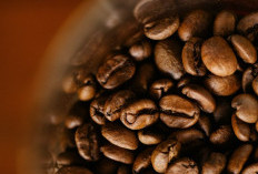 Ini Perbedaan Arabika dan Robusta, Mana yang Lebih Cocok untuk Kamu?