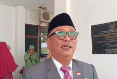 Masa Jabatan Plt OPD Seluma Lampaui Batas Maksimal BKN