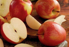 Kaya Nutrisi, Daftar Buah yang Aman untuk Penderita Diabetes, Konsumsi Secukupnya