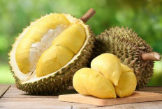 5 Manfaat Utama Buah Durian Bagi Kesehatan Tubuh, Baik untuk Tambah Energi 