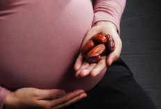 Disarankan untuk Ibu Hamil, Ini Dia 5 Manfaat Utama Buah Kurma Bagi Kesehatan Tubuh!