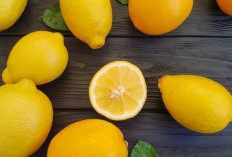 Manfaat Terbaik Konsumsi Buah Lemon dengan Rutin, Salah Satunya Ampuh Cegah Sakit Jantung