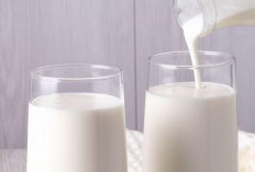 Makin Sehat, 7 Rekomendasi Minuman yang Cocok Dikonsumsi di Pagi Hari