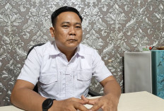 Usut Dugaan Pembunuhan Karakter Wartawan, Polres Bengkulu Selatan Periksa 3 Saksi