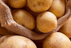 Ini Makanan yang Punya Kandungan Karbohidrat, Sumber Energi yang Baik untuk Tubuh