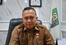 Program Magang Hub Nasional di Bengkulu Libatkan 18 Perusahaan, Target Tampung hingga 100 Fresh Graduate