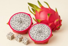 Ada 5 Fakta Unik yang Terdapat pada Buah Naga, Salah Satunya dapat Menunda Rasa Lapar