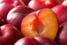 Buah Plum Tawarkan Manfaat Terbaik untuk Kesehatan Wanita, Salah Satunya Bantu Jaga Berat Badan 