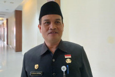 Project Perhutanan Sosial, Bengkulu Terima Dana Rp23 Miliar, Fokus di 2 Kabupaten Terbesar Ini