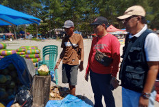 Terima Laporan Kelapa Dijual Rp20 Ribu, Dispar Kota Bengkulu Sidak Pedagang Nakal yang Langgar HET