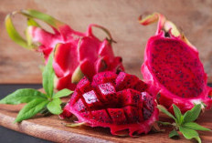 Taukah Kamu? Ada Ragam Fakta Unik yang Tersimpan dalam Buah Naga, Cek!