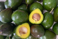 Bikin Kenyang Lebih Lama, Ini Dia Manfaat Konsumsi Buah Alpukat untuk Kesehatan Tubuh 
