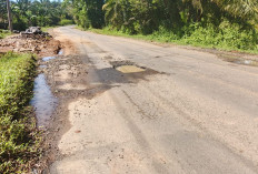 Baru Sebulan Diperbaiki, Jalinbar Bengkulu-Tais Rusak Lagi, Warga Soroti Kualitas Proyek Rp18 M