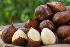 Tak hanya Dikonsumsi, Ini Dia Manfaat dari Penggunaan Buah Salak untuk Kecantikan Kulit 