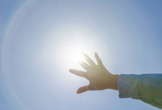 Tingkatkan Produksi Vitamin D dengan Sinar UV, Cek Disini Manfaatnya untuk Kesehatan Tubuh!