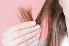 Rambut Bercabang Susah Teratasi? Coba Lakukan 3 Langkah Perawatan Tepat Ini!
