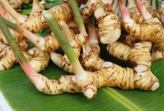 Perhatikan! Ini 5 Efek Samping Konsumsi Lengkuas Berlebihan 
