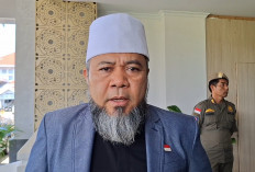 Sebut Sejarah Buruk bagi Bengkulu, Helmi Hasan Minta Pembunuh Gajah dan Harimau Disanksi Tegas