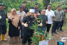 Pemprov Luncurkan Gerakan Penanaman Pohon Serentak se-Provinsi Bengkulu