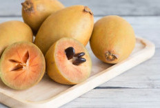 Jangan Remehkan! Inilah 4 Efek Samping Konsumsi Buah Sawo Secara Berlebihan 