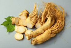 5 Kandungan Ginseng dan 9 Manfaatnya untuk Kesehatan Rambut, Cek Sekarang!