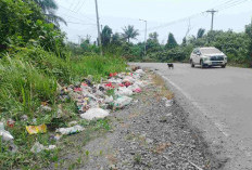 Pinggir Jalan Line 1 Pelabuhan Pulau Baai Ditumpuki Sampah, Diduga Sengaja Dibuang Orang Tak Bertanggung Jawab