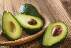 Taukah Kamu? Buah Alpukat Miliki Ragam Fakta Unik Tersembunyi, Cek Sekarang!