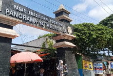 Pemkot Bengkulu Usul Dana Rp100 Miliar ke Pusat untuk Renovasi Pasar Panorama dan Minggu
