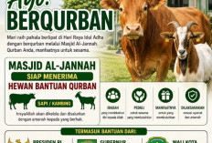 Idul Adha 1447 H: Masjid Al-Jan ah Bengkulu Buka Pendaftaran dan Layanan Jemput Hewan Kurban