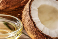 Cek 7 Manfaat Minyak Kelapa bagi Kesehatan, Bisa Bantu Melembapkan Kulit 