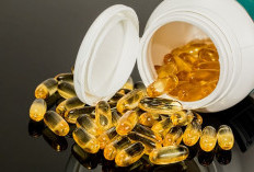 Tinggi Kandungan Omega-3, Cek Disini Manfaat Minyak Ikan Bagi Kesehatan Anda