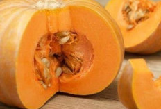 Cek di Sini! Manfaat Labu Kuning untuk Kesehatan Tubuh, Kaya Nutrisi dan Mudah Diolah