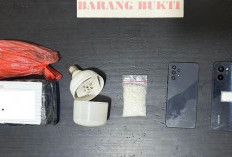 Modus Bola Lampu Terbongkar, Polda Bengkulu Gagalkan Sabu Kiriman dari Rejang Lebong