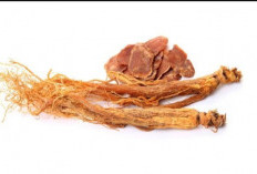 Bantu Atasi Kulit Hitam dengan Ginseng, Ini Manfaatnya untuk Kecantikan