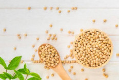 Kacang Kedelai Tawarkan Segudang Manfaat untuk Menjaga Kesehatan Tubuh Anda, Penasaran?