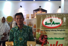 Inovasi Pengolahan Nira Aren, Gula Semut Sari Aren Perintis UMKM Bengkulu di Kancah Nasional