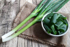 Cek Disini, 5 Manfaat Daun Bawang untuk Kecantikan Kulit 