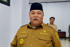 Dilirik Pasar Internasional, Komoditas Niur Bengkulu Selatan Didorong untuk Ekspor