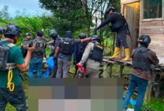 Operasi di Yahukimo Berujung Kontak Senjata, Satgas Damai Cartenz Sebut 3 Anggota KKB Tewas