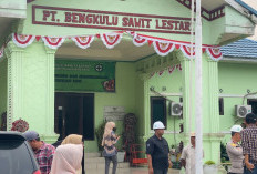 DLHK Temukan Kualitas Air Sungai di Sekitar PT BSL Lampaui Baku Mutu