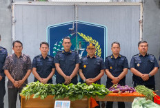 Rutan Kelas IIB Manna Panen 80 Kg Sayuran, Hasil Dijual ke Pihak Ketiga