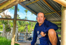 Alokasi Pupuk Phonska Subsidi Tersendat, Petani Padi Bengkulu Selatan Terancam Gagal Panen