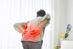 Inilah 7 Penyebab Sakit Pinggang yang Perlu Diketahui, Salah Satunya Saraf Kejepit 