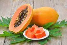 Ibu Hamil hingga Penderita Hipoglikemia Dilarang untuk Konsumsi Buah Pepaya, Mengapa? Ini Jawabannya!