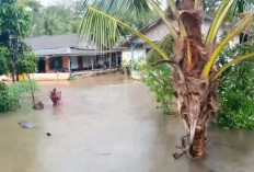 Banjir Kembali Terjang Desa Kaana Bengkulu Utara, Warga Keluhkan Drainase Tidak Mampu Tampung Debit Air
