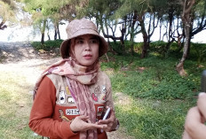 Aksi Bersih Pantai Panjang, Pemkot Pastikan 10.000 Pohon Kelapa Program Gempala Terawat