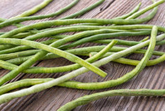 Cek Segudang Tawaran Manfaat Kacang Panjang untuk Kesehatan Wanita, Ampuh Jaga Kebugaran Tubuh