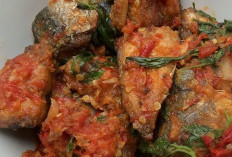Mudah Dibuat! Rekomendasi Masakan Rumahan dari Ikan yang Enak untuk Sehari-hari